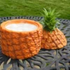 Ananas Ishink