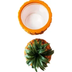 Ananas Ishink