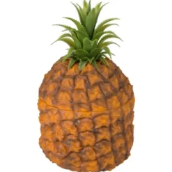 Ananas Ishink