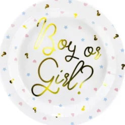 Baby Shower Boy or Girl Papptallrikar