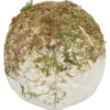 Dödskalle med Mossa Dekoration 19 cm