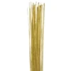 Floristtråd Guld