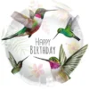 Folieballong Happy Birthday Kolibri