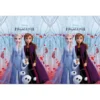 Frozen 2 Pappduk