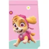 Godispåsar Paw Patrol Skye & Everest
