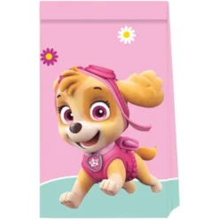 Godispåsar Paw Patrol Skye & Everest