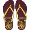 Harry Potter Flip Flops Barn (28/29)