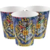 Harry Potter Muggar