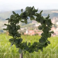 Krans Eukalyptus