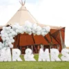 Mr & Mrs Ballongboxar Botanical Wedding