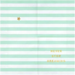 Never Stop Dreaming Servetter