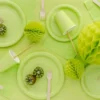 Pappersassietter Limegrön 18 cm 6-pack