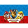 Paw Patrol Ready For Action Pappduk
