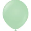 Premium Stora Latexballonger Macaron Green (5-pack)