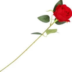 Röd Ros 50 cm