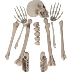 Skelettdelar Dekorationsset