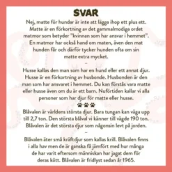 Spela Mera: Allt Om Djur Frågespel