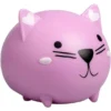 Squishy Katt