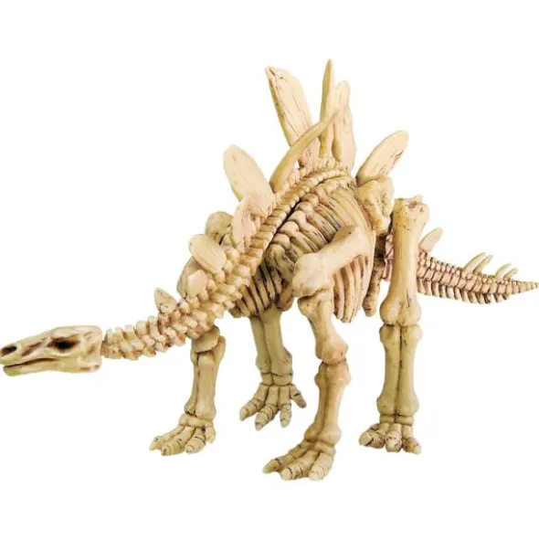 Stegosaurus Skelett Utgrävningskit