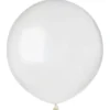 Stora Runda Genomskinliga Ballonger 50-pack (50-pack)