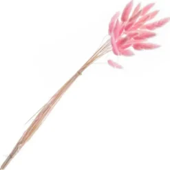 Torkade Harsvansar Rosa 25-pack